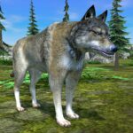 Wolf Simulator – Animal Games APK MOD Unlimited Money 1.0.62